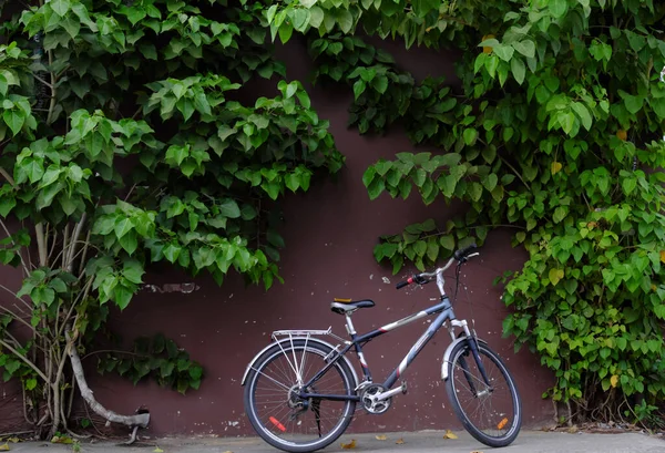 Paisagem Vida Rua Cidade Chi Minh Bicicleta Parede Sob Tronco — Fotografia de Stock