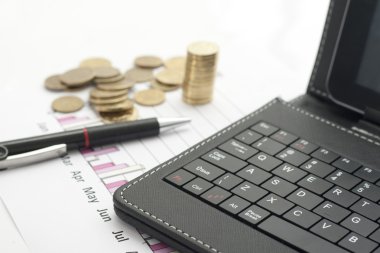 finansal rapor
