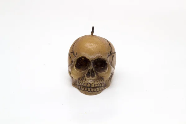 Cranio, vista frontale — Foto Stock