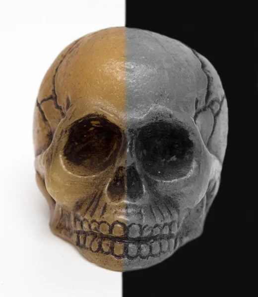 Cráneo, fondo blanco y negro — Foto de Stock