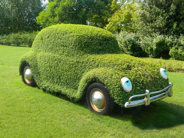 Ogen op de met gras begroeide auto Stockfoto