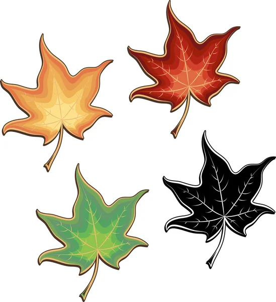 Ensemble de feuilles d'érable colorées et variation en noir et blanc — Image vectorielle