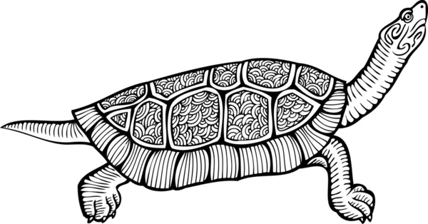 Tartaruga, estilo gráfico, desenhado à mão, ilustração vetorial —  Vetores de Stock
