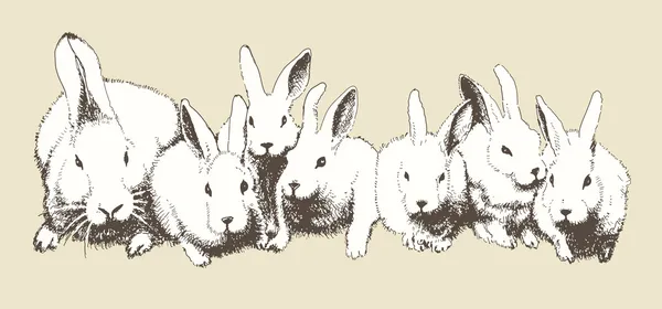 Vector hand drawn family of rabbits, Happy Easter design, A4 — Stock Vector