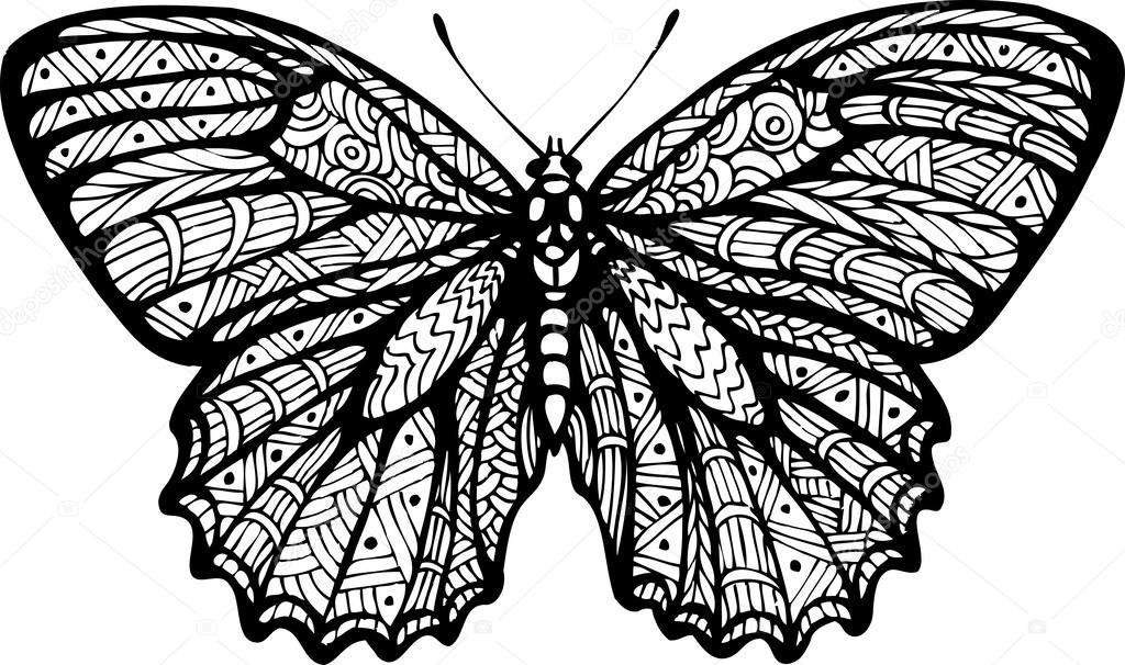 Butterfly, graphic style, hand drawn, black and white isolated vector illustration