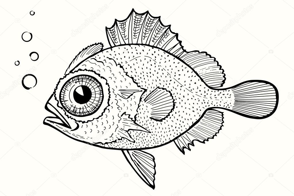 Abstract fish, hand drawn vector illustration