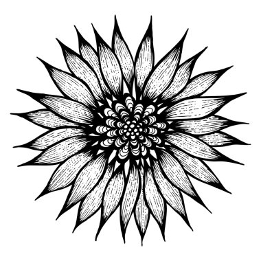 elle çizilmiş çiçek