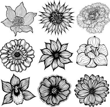 Set of 9 different hand drawn flowers, black and white isolated vector illustration