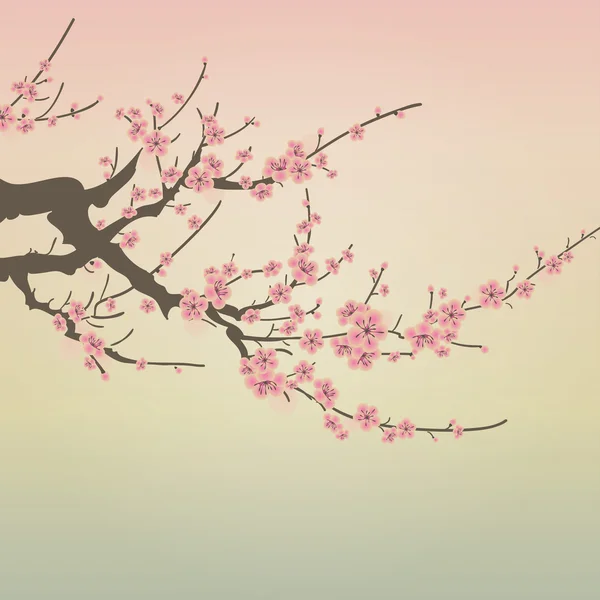 Vektor gren av cherry blossom — 图库矢量图片