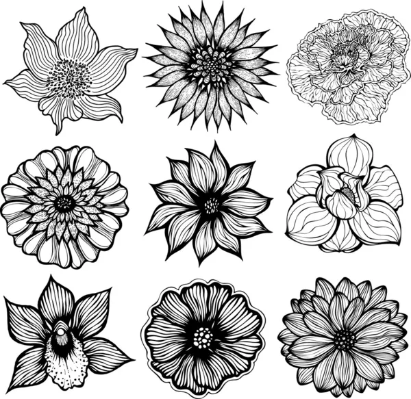 Conjunto de 9 diferentes flores dibujadas a mano, ilustración vectorial aislada en blanco y negro — Archivo Imágenes Vectoriales