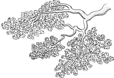 oyulmuş tarzı ağaç dalı