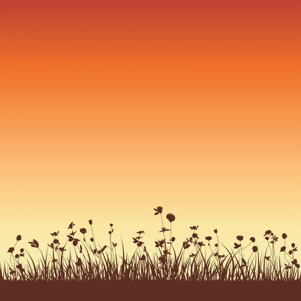 Silhouettes d'herbe en croissance — Image vectorielle