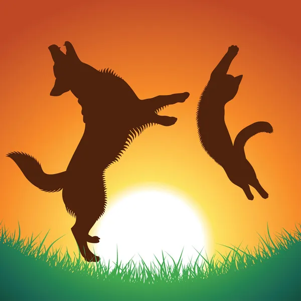 Kat en hond springen — Stockvector