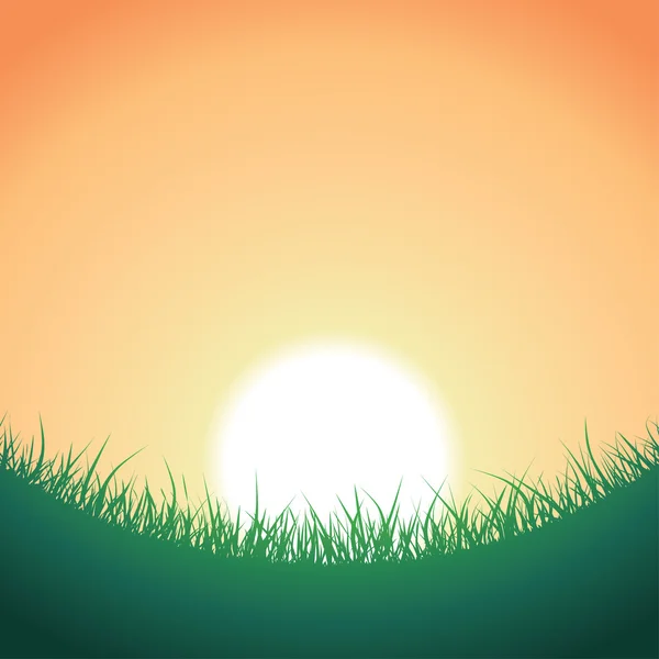Groeiende gras silhouetten — Stockvector