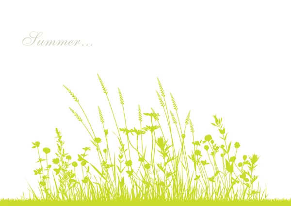 Grass and flowers background — Stock Vector