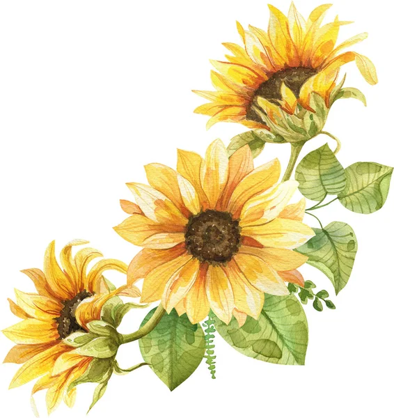 Slunečnice Kytice Akvarel Ručně Malované Složení Royalty Free Stock Fotografie
