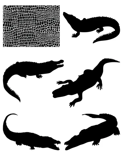 Crocodiles Stock Illustration