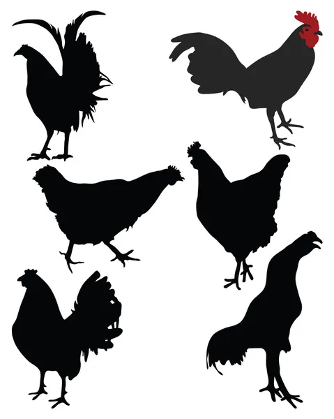 Chickens — Stock Vector