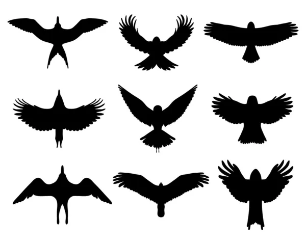 Fåglar i flykt — Stock vektor