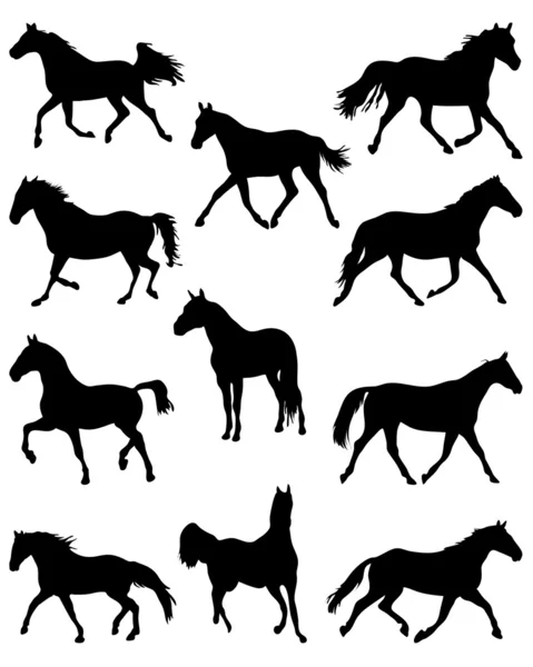 Hästar — Stock vektor