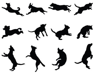 Köpekler