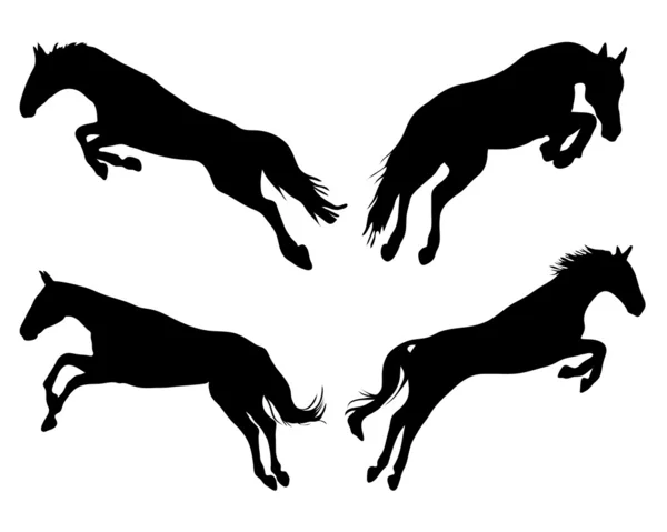 Saut de chevaux — Image vectorielle