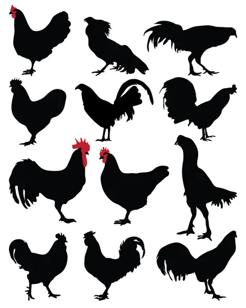 Gallos y gallinas — Vector de stock