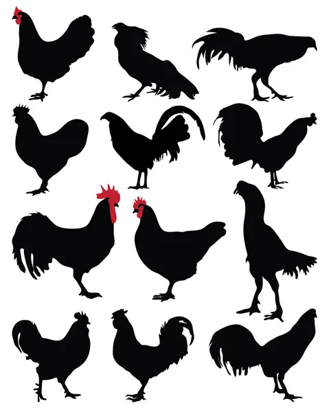Ayam dan ayam jantan. Stok Ilustrasi Bebas Royalti