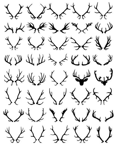 Antlers — Stock Vector