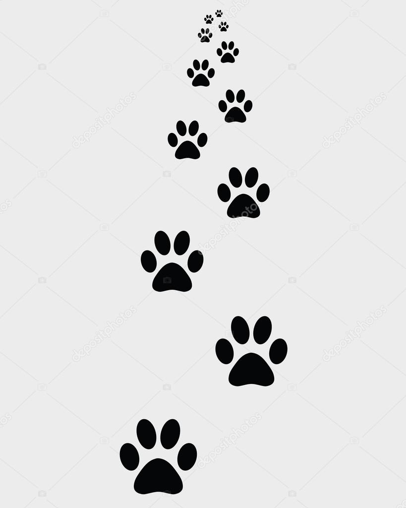 Prints of paws