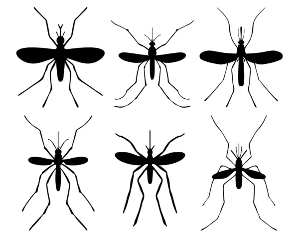 Mosquito — Vetor de Stock