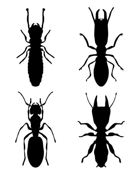 Termites — Image vectorielle