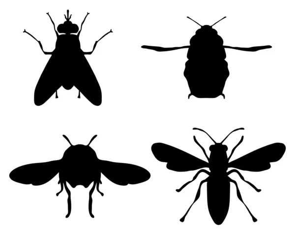 Bees Vector Graphics