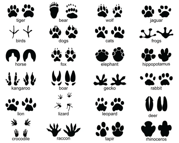 Conjunto Huellas Animales Salvajes Ilustración Siluetas Negras — Archivo Imágenes Vectoriales