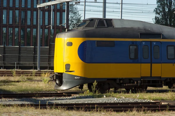 Yellow Blue Train High Speed Railway Netherlands — Stockfoto