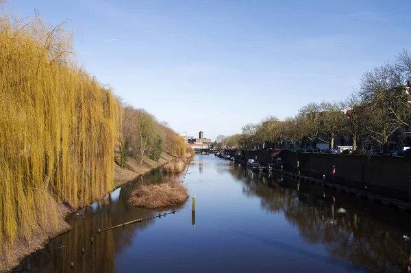 Kanaal Het Centrum Van Den Bosch Met Bomen Aan Zijkant — Stockfoto