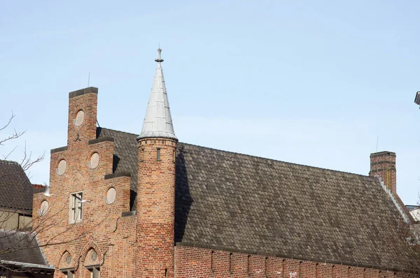 Tour Toit Bâtiment Médiéval Dans Centre Den Bosch Aux Pays — Photo