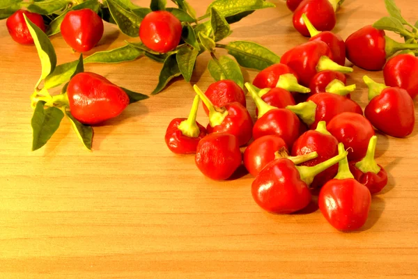 PEPERONCINO di calabria — Stock fotografie