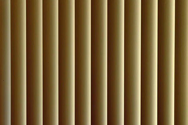 Lignes lumière — Photo