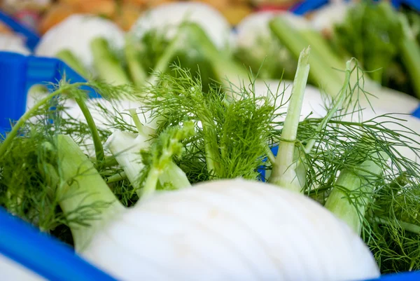 Grönsaker — Stockfoto