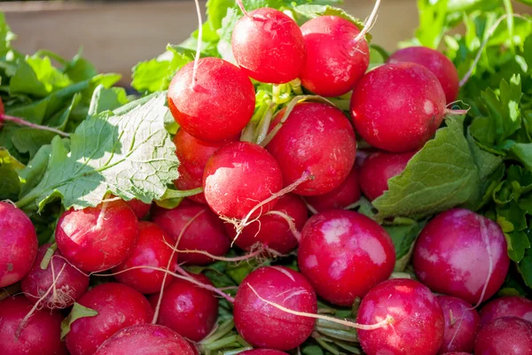 Vegetables — Stock Photo, Image