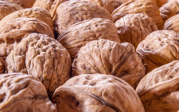 Walnut — Stock Photo, Image