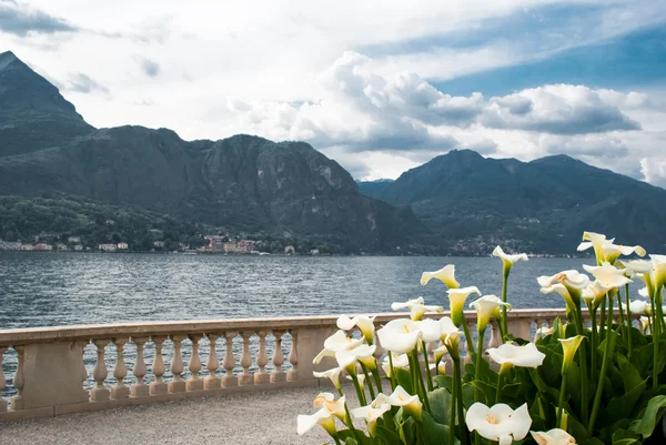 Jardins junto ao lago — Fotografia de Stock