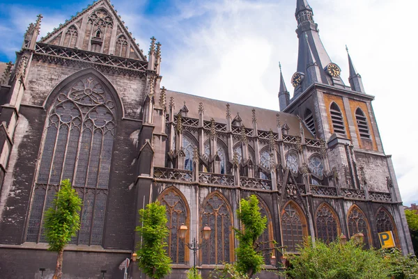 Katedra st. louis — Zdjęcie stockowe