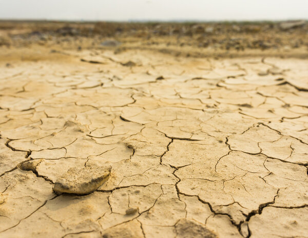 Трещина и сухая почва
