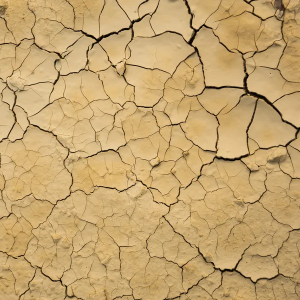 Sol fissuré et sec Images De Stock Libres De Droits