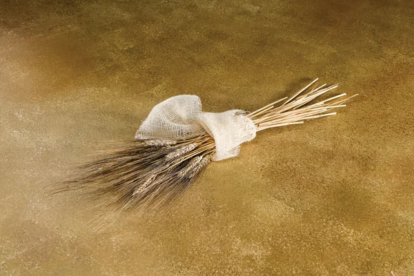 Μάτσο σιτάρι — Φωτογραφία Αρχείου