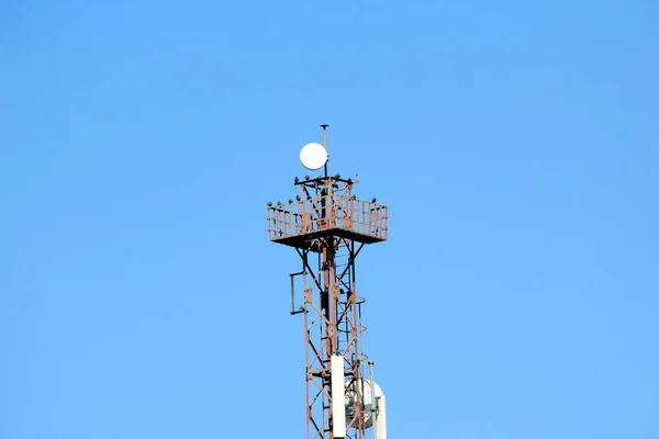 Telephone Tower Many Pigeon Sitting — 스톡 사진