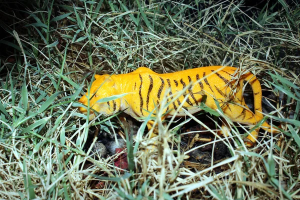 plastic animal children toy in green grass