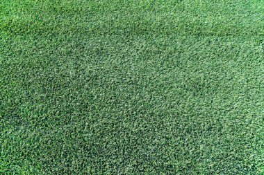 Tam Çitli Yeşil Çimen.